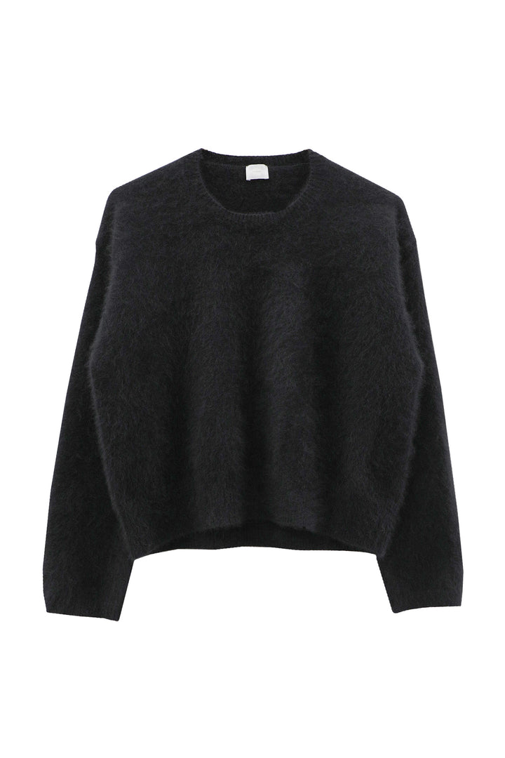 Pull court (raton laveur) /CT23102