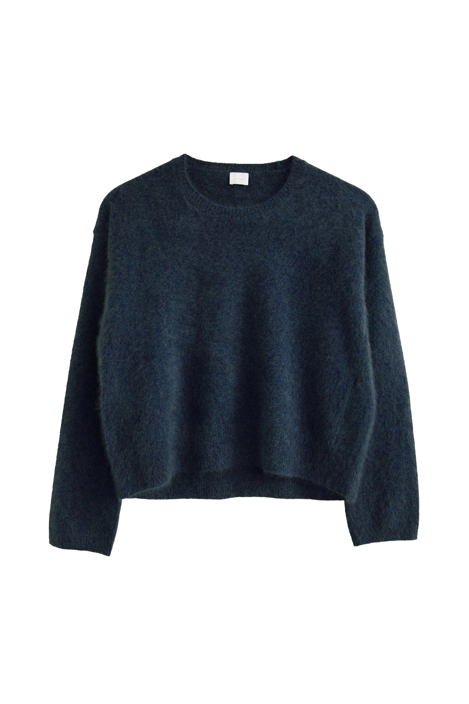 Pull court (raton laveur) /CT23102