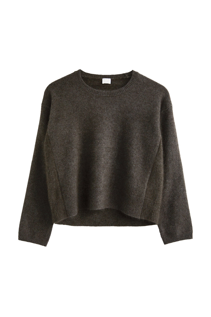 Pull court (raton laveur) /CT23102