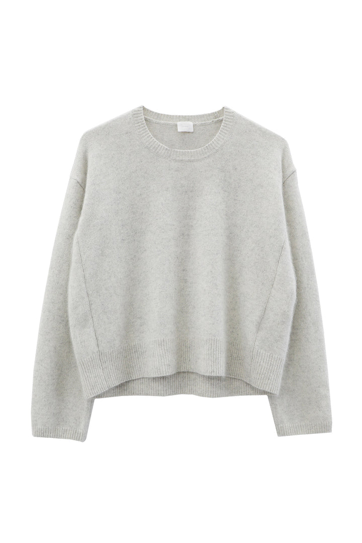 Pull court (raton laveur) /CT23102